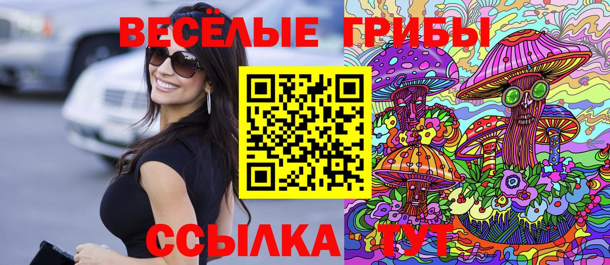 Галлюциногенные грибы Psilocybe Егорьевск