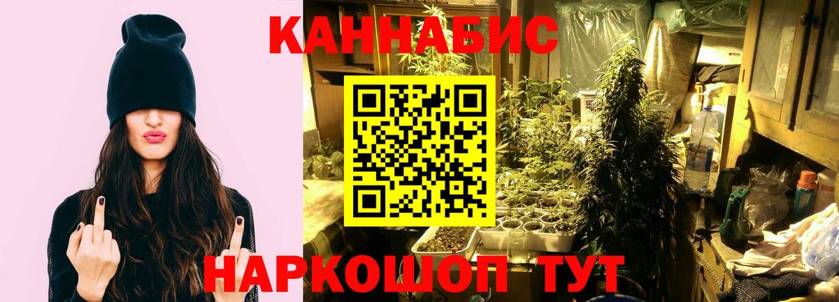 Егорьевск  Бошки Шишки LSD WEED  Вход с VPN  МАРИХУАНА сатива  Шишки марихуана сатива 